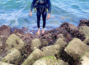 mauritania/inchiri/bar/mauritanie-diving-service