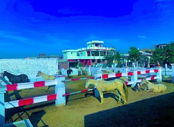 pakistan/hazara/bar/ch-sajjad-afzal-warraich