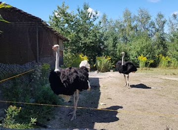 poland/karkonosze-mountains/bar/ptaszarnia