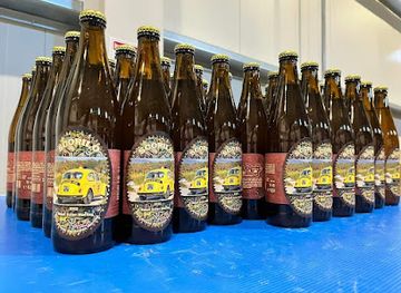 romania/banat/bar/bere-scorilo