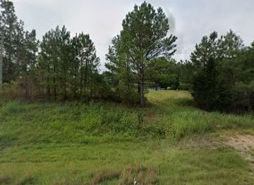 mississippi/tombigbee-national-forest/bar/ms-loni-s