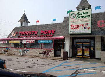 ohio/sandusky/bar/thirsty-pony-restaurant