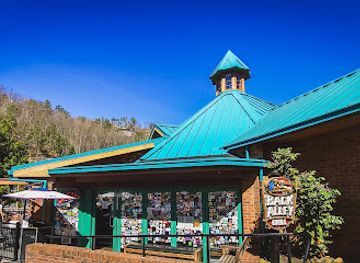 tennessee/great-smoky-mountains-national-park/bar/tom-earl-s-back-alley-grill