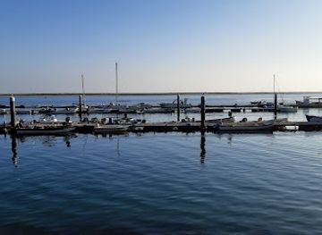 portugal/ria-formosa-natural-park/bar/zona-cocktail-lounge-bar