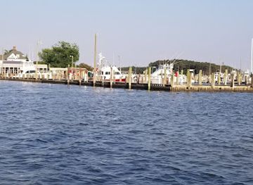 maryland/blackwater-national-wildlife-refuge/bar/palm-beach-willies