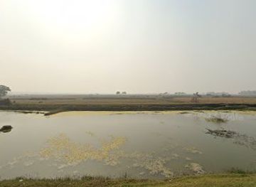 bangladesh/sundarbans/bar/ayskurone-shop