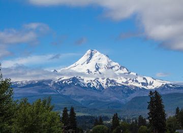 oregon/mt-hood-territory/bar/mount-hood-national-forest