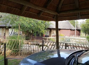 botswana/tuli-block/bar/suricata-retreat