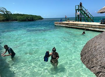 belize/glover-s-reef-atoll/bar/the-lazy-lizard