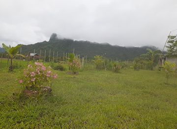 laos/vang-vieng-karst-landscape/bar/a-m-d-restaurant