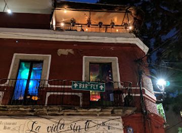 mexico/guanajuato/la-valenciana/bar/bar-fly