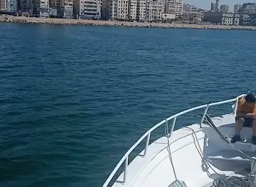 مؤىار