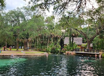 florida/juniper-springs-recreation-area/bar/juniper-springs-recreation-swimming-area-marion-county-fl