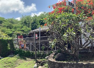 grenada/etang-national-park/bar/bananas-grenada