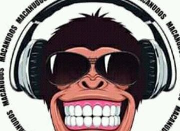 mozambique/zambezia-province/bar/texeiras-bar