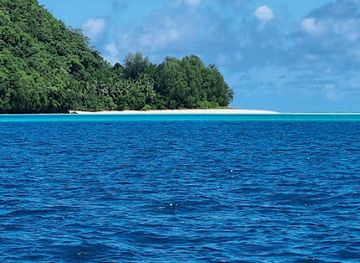 micronesia/koror/bar/micronesian-legal-services-palau