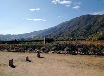 chile/aconcagua-valley/bar/vina-viu-manent