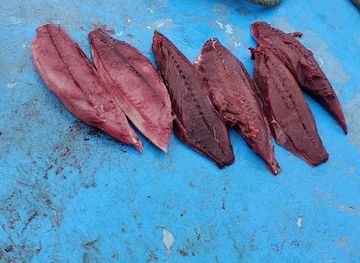 nicaragua/san-juan-del-sur/bar/marcos-rental