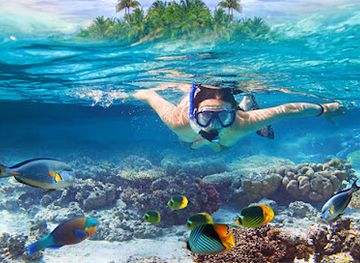 belize/glover-s-reef-atoll/bar/sittee-river-marina-the-curve-bar