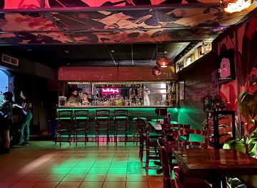 puerto-rico/yunque-national-forest/bar/junglebird