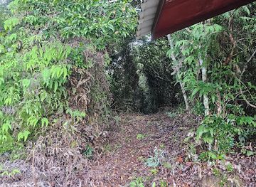 brunei/bukit-shahbandar-recreational-park/bar/bukit-mentiri-trail