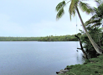 marshall-islands/lib-island/bar/lib