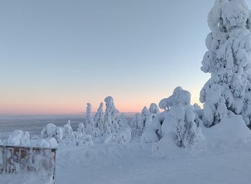 finland/pyha-luosto-national-park/bar/ukko-luosto-scenic-hut-day-use-hut