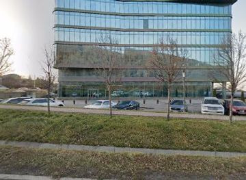 kazakhstan/semirechye-seven-rivers/bar/the-monkey-restaurant-bar