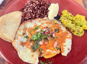 nicaragua/san-juan-river-basin/bar/rock-bar-sjds