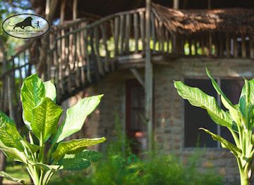 tanzania/selous-game-reserve/bar/baker-sons-safari-company