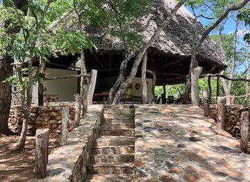 tanzania/selous-game-reserve/bar/lemara-eco-camp-selous