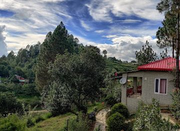 india/the-himalayas/bar/himalayan-eco-lodges-majkhali-woods