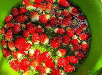 mozambique/lake-niassa/bar/mitava-lichnga