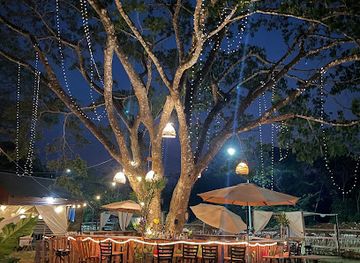 belize/mountain-pine-ridge/bar/booze-branches