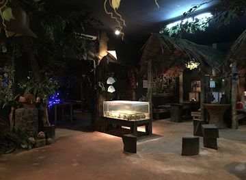 palau/aimeliik/bar/jungle-bar