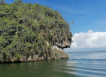 dominican-republic/los-haitises/bar/los-haitises-national-park