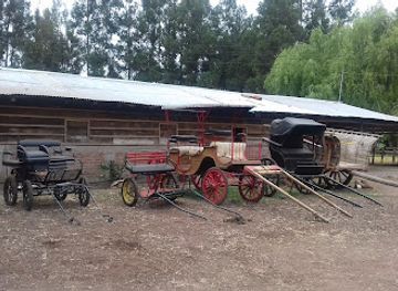 chile/o-higgins-region/bar/el-mambo