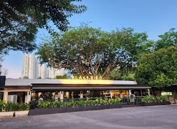 singapore/labrador-nature-reserve/bar/the-blackbird