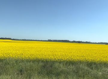 australia/western-district/bar/maroona-hotel