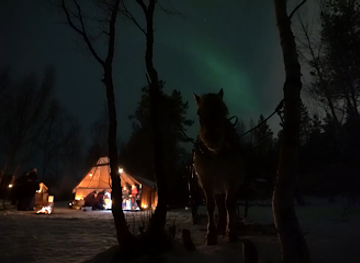 norway/finnmark/bar/flatmoen-nature