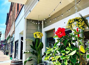 maryland/pocomoke-river-state-park/bar/tides-vine