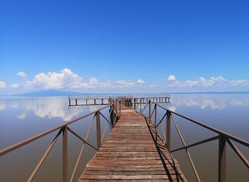 tanzania/lake-manyara-national-park/bar/lake-manyara-picnic-site