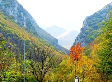 kosovo/peja/bar/lodhe-tu-pushu