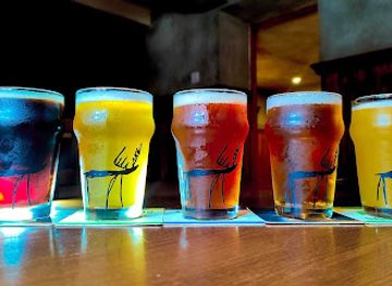 ukraine/mukachevo/bar/zolotyy-olen