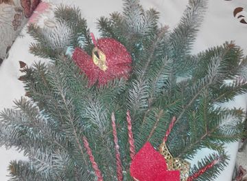 ukraine/dragobrat/bar/mislyvets