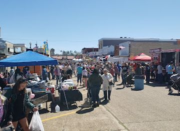 louisiana/caddo-lake/bar/vivian