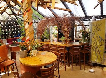 israel/negev-desert/bar/habereh-pub