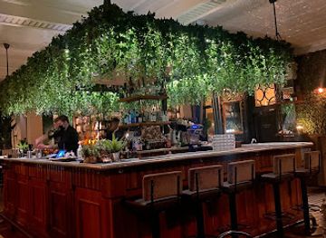 iceland/vatnajokull-national-park/bar/jungle-cocktail-bar