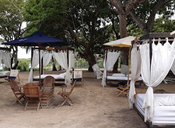 french-polynesia/leeward-islands/bar/bora-bora-lagoonarium