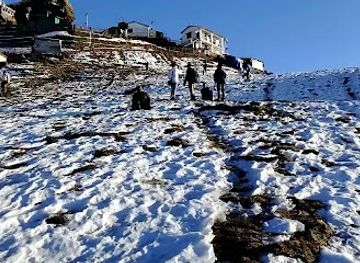 india/valley-of-flowers-national-park/bar/rich-taste